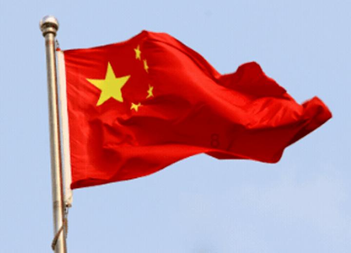 沙皮狗逃离